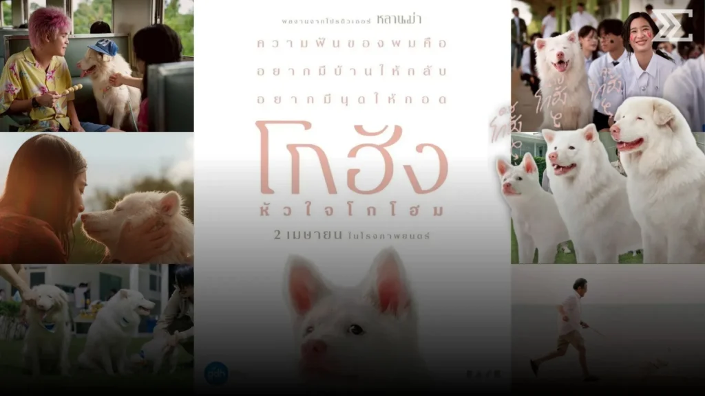 GDH เตรียมเสิร์ฟความอบอุ่น “โกฮัง…หัวใจโกโฮม” หนังที่ทาสหมาต้องดู